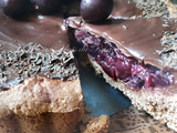 Tarte choco cerises (chocolate cherry tart)