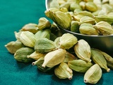 ✨ Zoom sur la cardamome – La reine discrète des épices