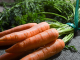 Zoom sur la Carotte : Reine des Jardins et des Marmites