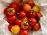 Zoom sur… la tomate cerise