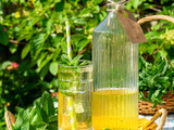 Sirop de menthe maison, sans colorant et très rafraîchissant