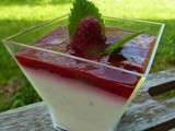 Panna Cotta Fromage blanc Framboises et Vanille