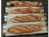 Baguettes avec repos de 48 h