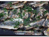 Filets de sardine persillées