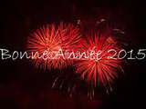 Bonne annee 2015