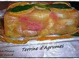 Terrine dagrumes