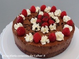 Gâteau-mousse au chocolat et framboises