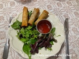 Rouleaux de won ton frits