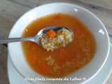 Soupe au riz