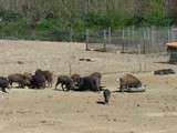 Bonnes adresses gourmandes sur France Bleu Provence