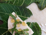 Fromage de chèvre et féta dans une feuille de figuier