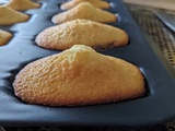 Madeleines