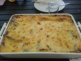 Lasagnes de canard