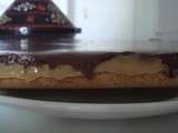 Millionaire's shortbread