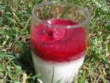 Panacotta aux framboises