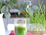 Jus d'herbe de blé { Explications et bienfaits }