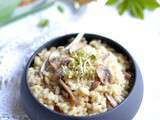 Risotto crémeux aux champignons et bouillon de légumes