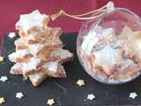 Sablés de Noël à la cannelle (au Thermomix)