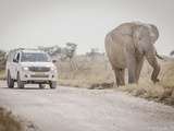 Etosha National Park – Namibie