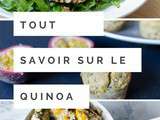 Tout savoir sur le quinoa