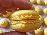 Formation Visiochef, les Macarons du Chef Clément