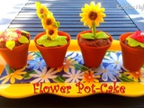 Flower Pot Cake