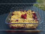 Crumble aux framboises, recette facile et rapide au companion thermomix ou sans robot