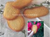 Langues de chat maison, recette facile au companion thermomix ou sans robot