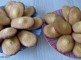 Madeleines aromatisées à la noix de coco