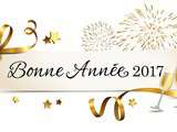 Bonne Année / Feliz Ano Novo