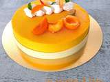 Entremets Chocolat Blanc-Abricots