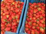 Fraises à toutes les sauces