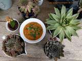 Potage Congolais à la tomate et à l'avocat