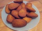 Madeleines aux pépites de chocolat