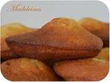 Madeleines pour la Ronde interblogs