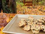 Biscuits au quinoa et raisins secs