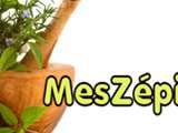 Code promo chez MesZépices.com avril 2016