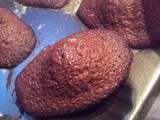 Madeleines au chocolat noir 85 % équitable