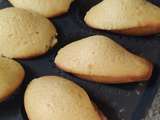 Madeleines vanille / miel sans gluten au cake factory