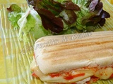 Panini au poulet et fromages