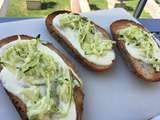 Bruschetta courgette parmesan