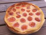 Clafoutis aux abricots