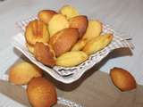 Madeleines