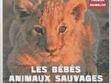 Premier animalier - Les bébés animaux sauvages (de 4 à 6 ans)