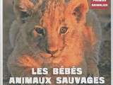 Premier animalier - Les bébés animaux sauvages (de 4 à 6 ans)