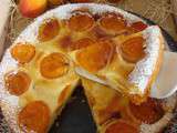 Clafoutis abricots du Roussillon et ricotta