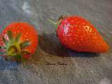 Fraises