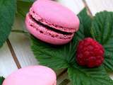 Macaron framboise avec Pretagarnir