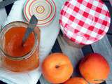 Confiture d'abricots facile en machine à pain