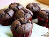 Muffins tout chocolat